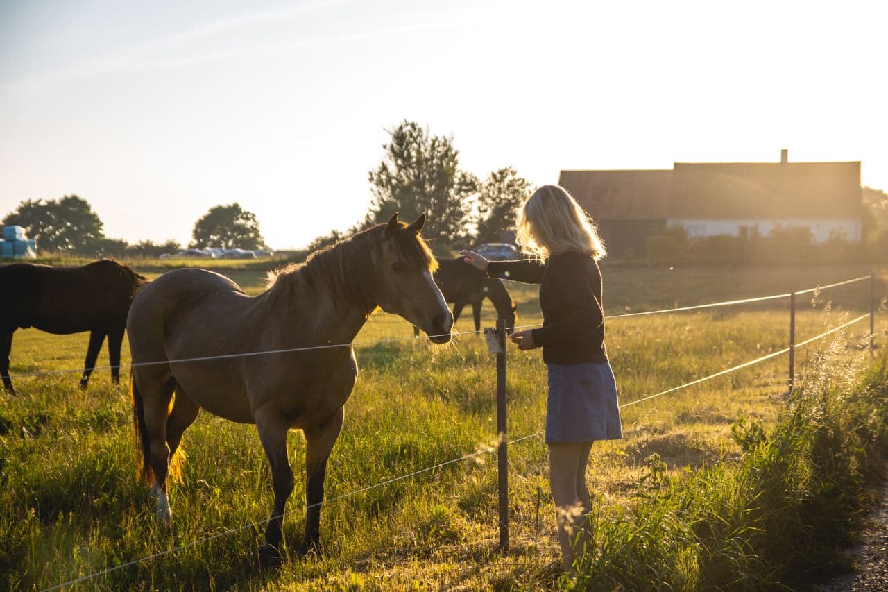 Woman petting a horse outdoors in Denmark