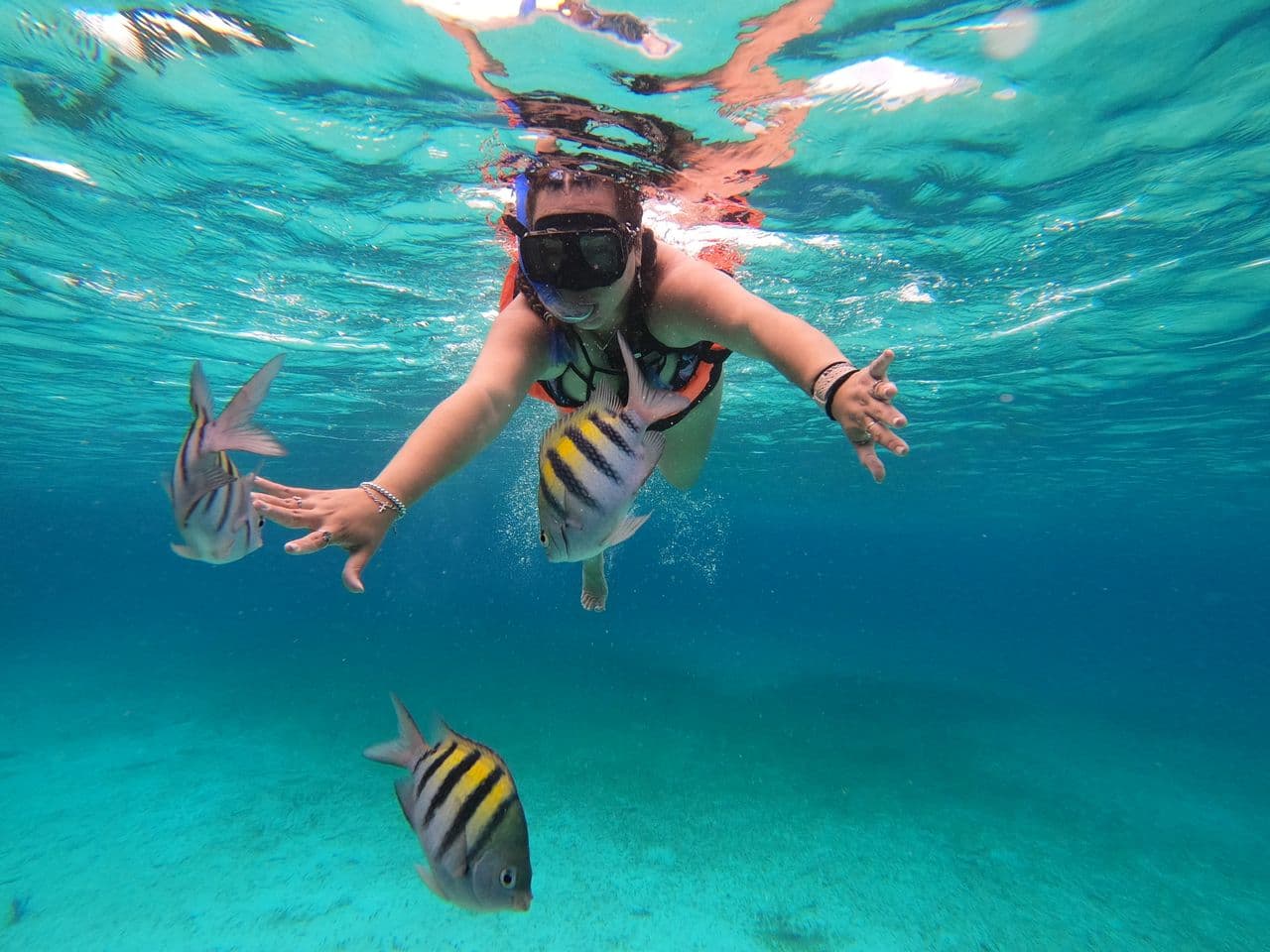 Woman snorkeling underwater surrounded by tropical fish